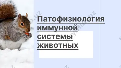патофизиология иммунной системы животных — PPTX