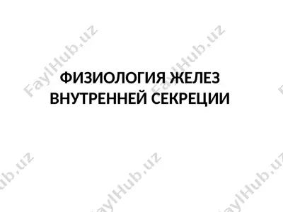 физиология железвнутренней секреции — PPTX
