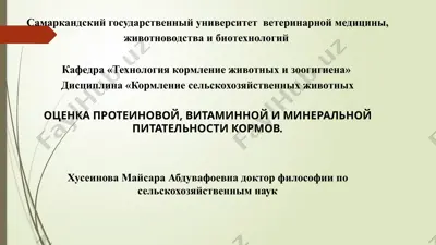 кормление сельскохозяйственных животных, оценка протеиновой, витаминной и минеральной питательности кормов — PPTX