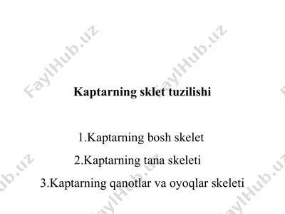 qush skeleti — PPTX