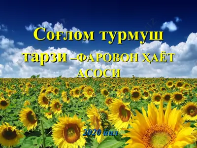 so'glom turmush tarzi - farovon hayot asosi — PPT