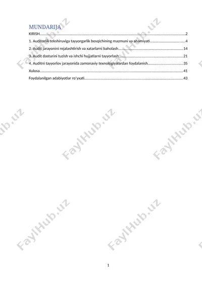 audit tekshiruvi uning hujjatlari — DOCX