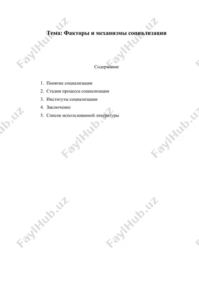 факторы и механизмы социализации — DOC