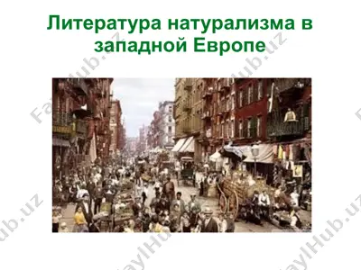 литература натурализма в западной европе — PPT