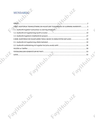auditorlik tashkilotining ish hujjatlari — DOCX