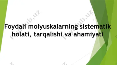 foydali molyuskalarning sistematik holati, tarqalishi va ahamiyati — PPTX