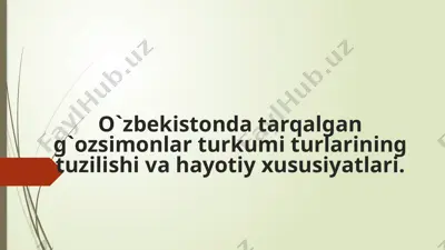 gʻozsimonlar turkumi haqida — PPTX
