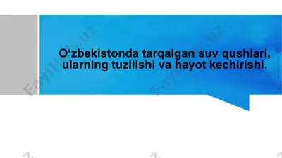 o‘zbekistonda tarqalgan suv qushlari, ularning tuzilishi va hayot kechirishi — PPTX