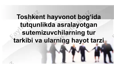 toshkent hayvonot bog‘i va tutqunlikda asralayotgan sutemizuvchilar haqida — PPTX