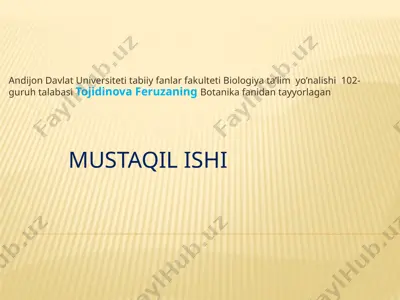 shakarqamishturkumi — PPTX