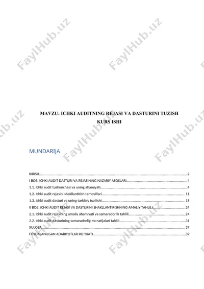 ichki auditning rejasi va dasturini tuzish — DOCX