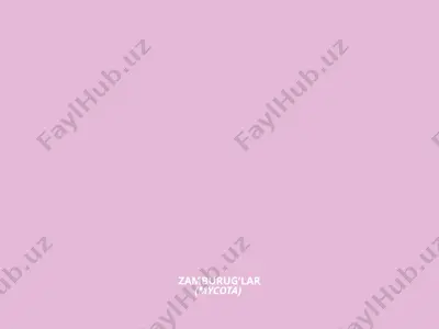 zamburug`lar (mycota) — PPTX