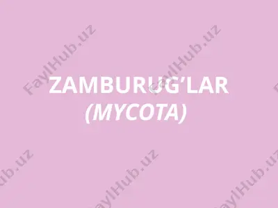 zamburug’lar (mycota) — PPT