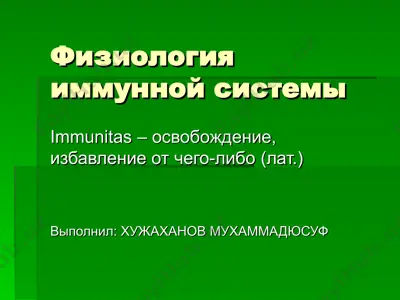 физиология иммунной системы — PPT