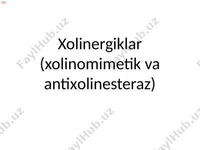 xolinergiklar — PPTX
