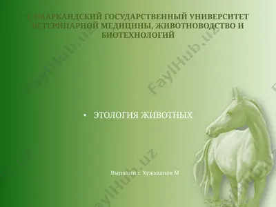 этология животных — PPT