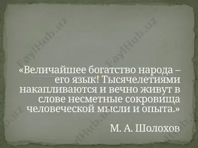 презентация по теме «язык и речь» — PPTX