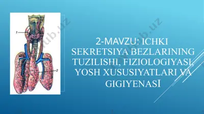 ichki sekresiya bezlarining tuzilishi va fiziologiyasi — PPTX