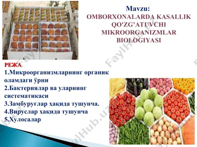 omborxonalarda kasallik qo'zg’atuvchi mikroorganizmlar biologiyasi — PPT