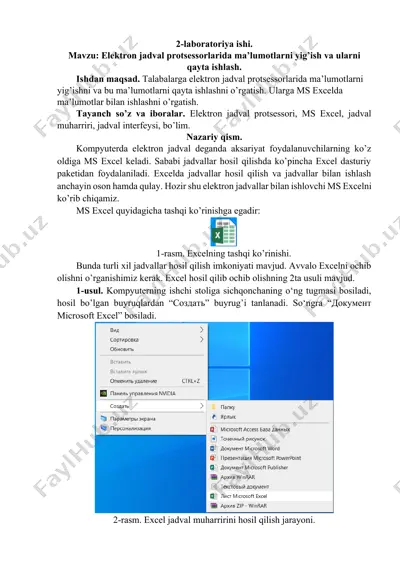 elektron jadval protsessorlarida ma’lumotlarni yig’ish va ularni qayta ishlash — DOCX