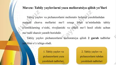 tabiiyyaylovlarni yuzamelioratsiya qilish yo'llari — PPTX