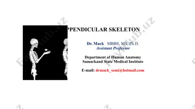appendicular skeleton — PPTX
