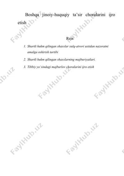 boshqa jinoiy-huquqiy ta’sir choralarini ijro etish — DOCX