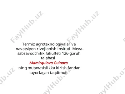 meva-sabzavotlar saqlash omborlari va ularni tashkil etishning turli usullari — PPTX