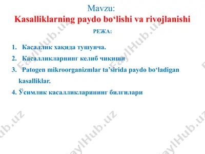 usimlik kasalliklari bilan shug'ullanishning asosiy prinsiplari — PPTX