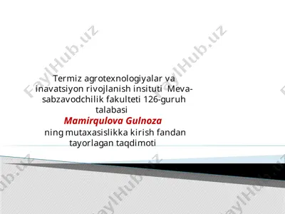 meva-sabzavodchilik fakulteti 126-guruh talabasi mamirqulova gulnoza — PPTX
