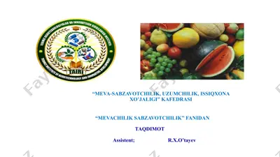 meva-sabzavotchilik, uzumchilik, issiqxona xo'jaligi kafedrasi taqdimoti — PPTX