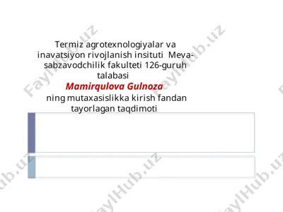 termiz agro texnologiyalari va inavatsiyon rivojlanishi instituti meva-sabzavodchilik fakulteti 126-guruh talabasi - mamirqulova gulnoza — PPTX