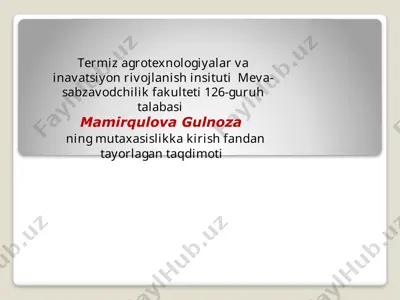 meva-sabzavotlarni saqlash va dastlabki qayta ishlash texnologiyasi — PPTX