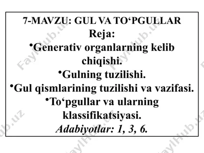 gul va to'pgullar — PPTX