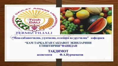 kam tarqalgan piyozli sabzavotlar biologiyasi va etishtirish texnologiyasi — PPTX
