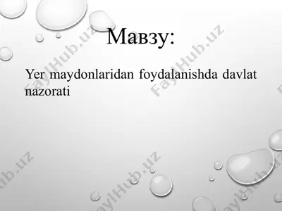 yermaydonlaridan foydalanishda davlat nazorati — PPTX