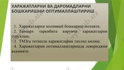 harajatlar va daromadlarni boshqarishni optimallash — PPTX