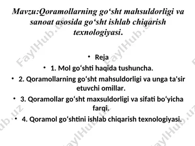 qoramol go‘shti — PPT