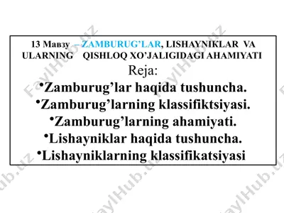 zamburug’lar, lishayniklar — PPTX