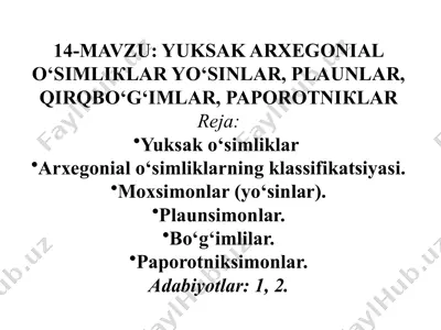 yuksak arxegonial o‘simliklar — PPTX