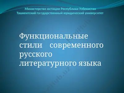 функциональные стили современного русского литературного языка — PPTX