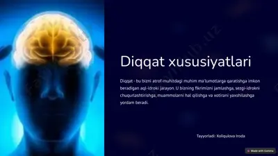 diqqat xususiyatlari — PPTX