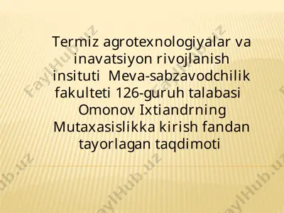 termizagrotexnologiyalar va innovatsiya rivojlanish instituti meva-sabzavodchilik fakulteti 126-guruh talabasi omonov ixtiandrning mutaxasislikka kirish fanidan ta'yorlagan taqdimoti — PPTX