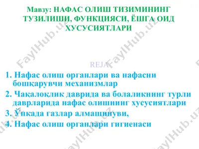 naafs olish tizimi — PPT