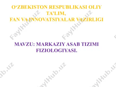 markaziy asab tizimi fiziologiyasi — PPTX