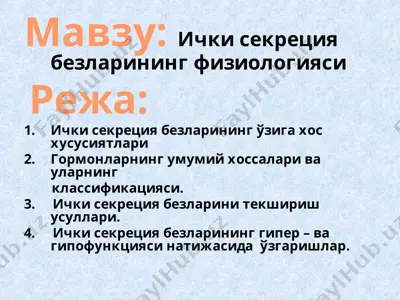 ichki sekretsiya bezlarining fiziologiyasi — PPT