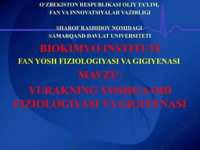 yurakning yoshga oid fiziologiyasi va gigiyanasi — PPTX