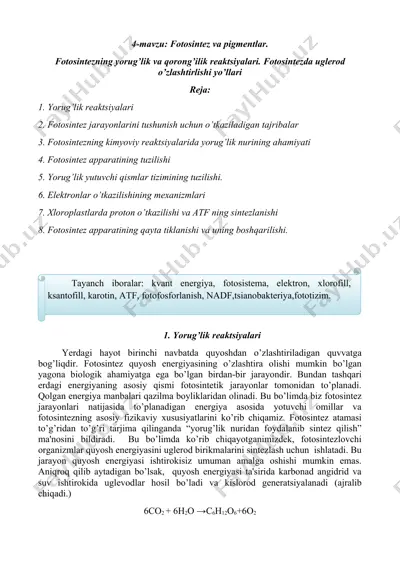 fotosintez va pigmentlar — DOCX