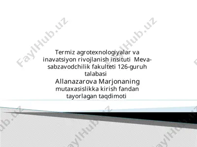 allanazarova marjonaning mutaxasislikka kirish fandan tayorlagan taqdimoti — PPTX