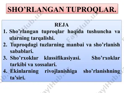 sho’rlangan tuproqlar — PPTX